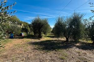Lotto di terreno agricolo con annesso