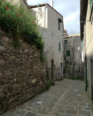 Appartamento - Arcidosso