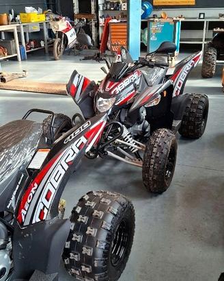 quad AEON COBRA EURO5 ,