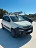 fiat-panda-1-3-mjt-4x4-pop-van-2-posti