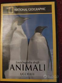 DVD National Geographic 