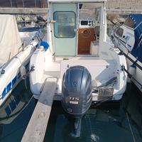 Barca sessa rapala 19