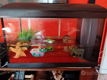 Acquario 50 litri