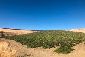 terreno agricolo 