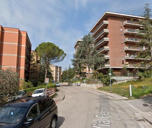 Appartamento FERRO DI CAVALLO CON TERRAZZO