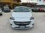 Immagine 14