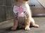 Immagine 1