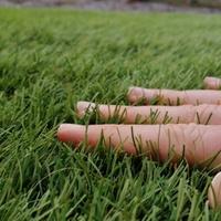 Prato sintetico professionale 30/40mm NUOVO