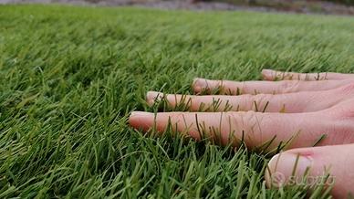 Prato sintetico professionale 30/40mm NUOVO