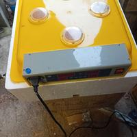 Incubatrice 40 uova