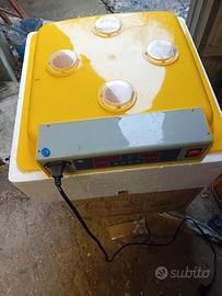 Incubatrice 40 uova