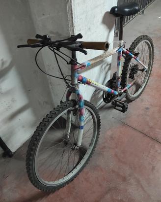 Mountain Bike 24 pollici 