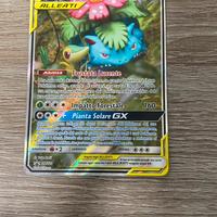 Venusaue e Snivy GX ALLEATI