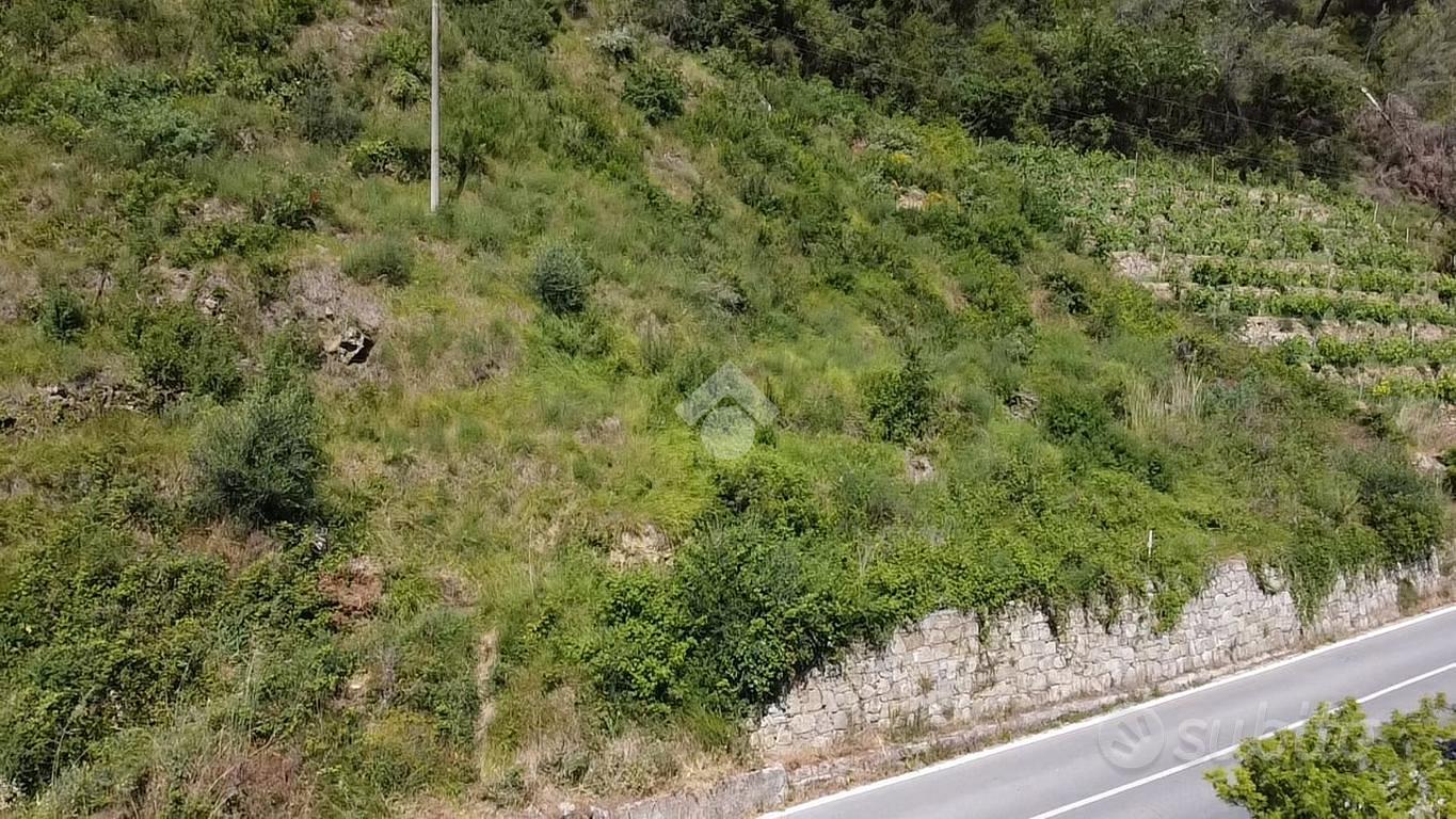 TER. AGRICOLO A SOLDANO - Altro