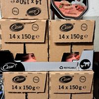 Cesar - Patè con vitello e pollo