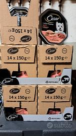 Cesar - Patè con vitello e pollo