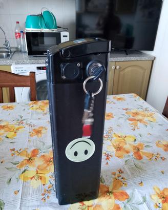 batteria 48v più caricatore per bici elettri