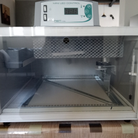 Incubatrice FIEM 40 CIP CIP