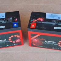 2 Batterie USATE Zenith ZL120185 110Ah/20Hr
