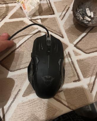 mouse trust