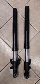 forcelle Aprilia rs 125 2t