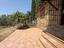 Immagine 7