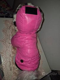 cappotto cane