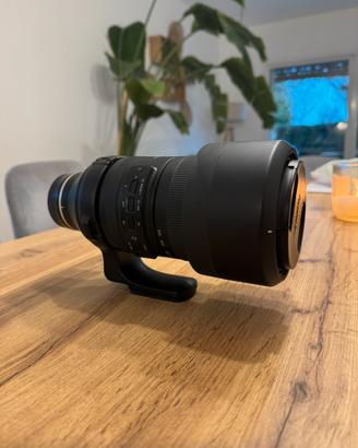Tamron 150-500 Sony