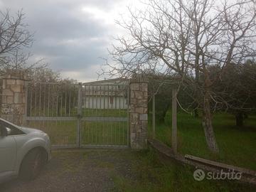 Terreno con ulivi e progetto approvato