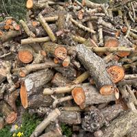 Legna da ardere