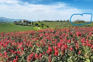Terreno Edificabile in posizione panoramica