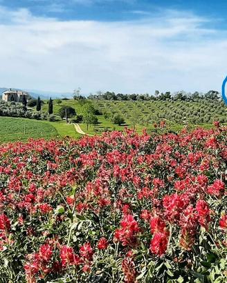 Terreno Edificabile in posizione panoramica