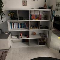 Libreria a cubi della SME