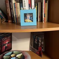 Libreria bombata aperta in ciliegio