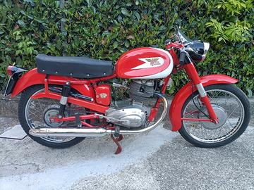 Morini 175 Tresette