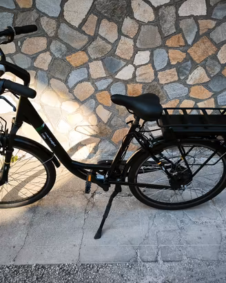 bicicletta pedalata assistita 
