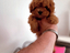 Immagine 12