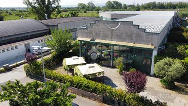 CAPANNONE A VICOPISANO