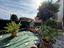 Immagine 23