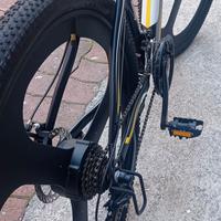 bicicletta elettrica 