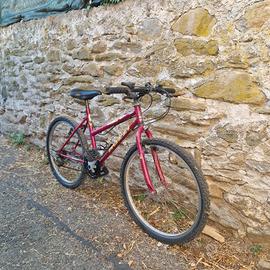 bici mtb ragazzo Nuzzi 24'