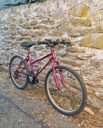 bici mtb ragazzo Nuzzi 24'