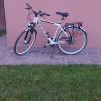 Bici uomo carnielli