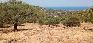 Terreno agricolo panoramico edificabile Lascari