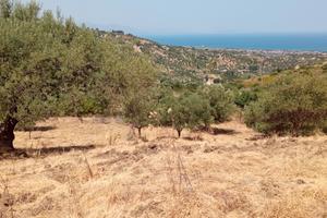 Terreno agricolo panoramico edificabile Lascari
