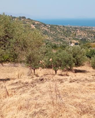 Terreno agricolo panoramico edificabile Lascari