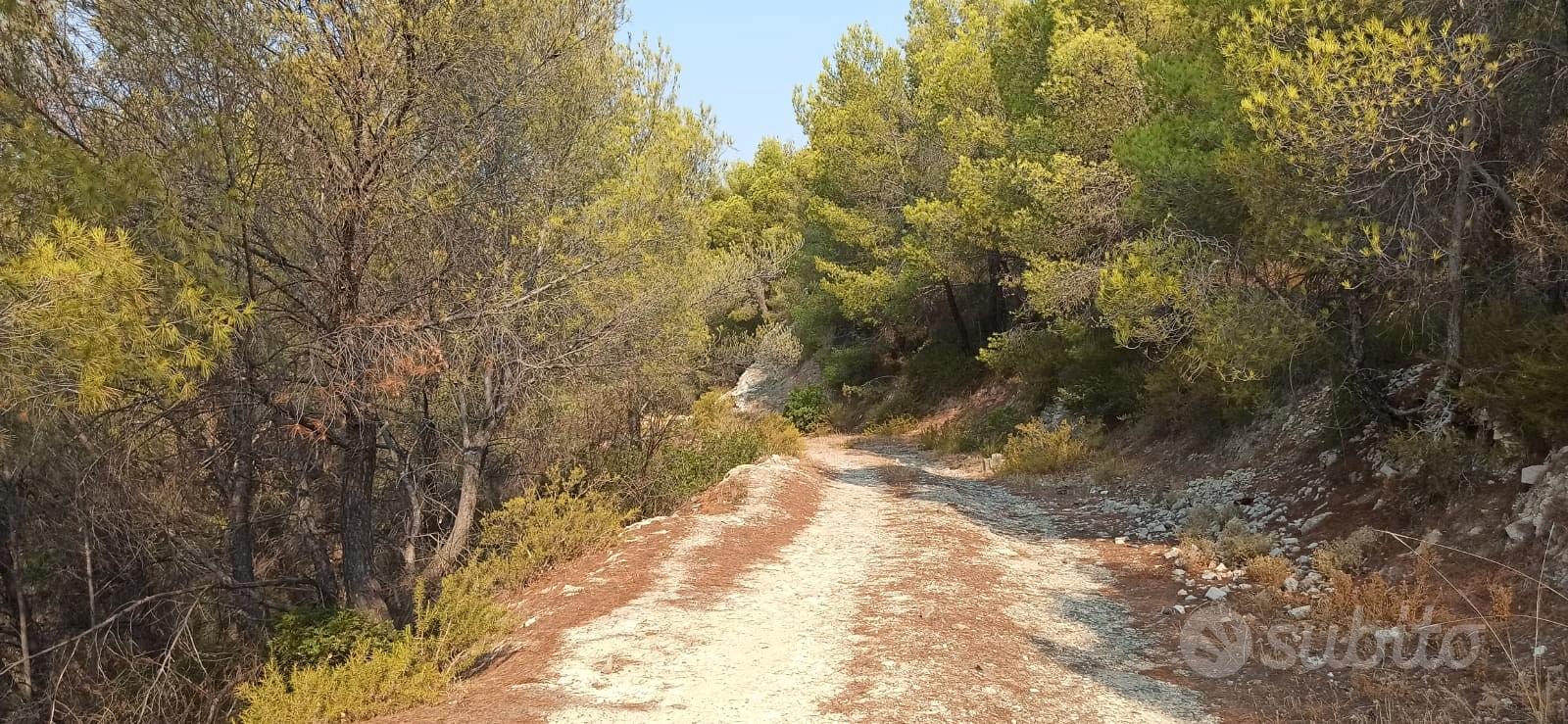 Terreno boschivo Montegiordano Marina - Altro