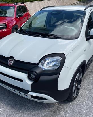 FIAT Panda 1.0 FireFly S&S Hybrid Pandina