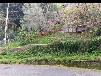 Terreno Agricolo via Carnia (Ge)