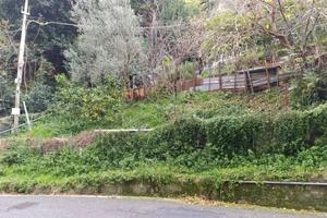 Terreno Agricolo via Carnia (Ge)